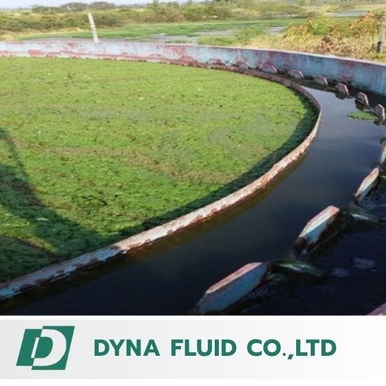 ระบบปล่อยน้ำทิ้งเท่ากับศูนย์ (Zero Discharge)