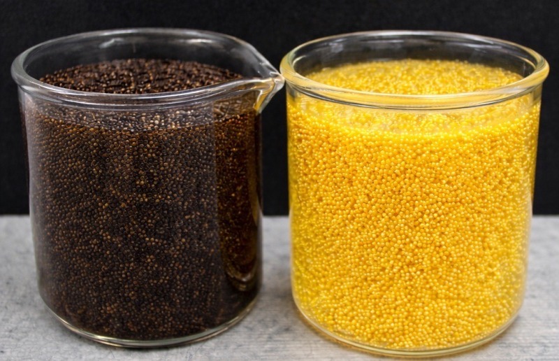 711 performance photo